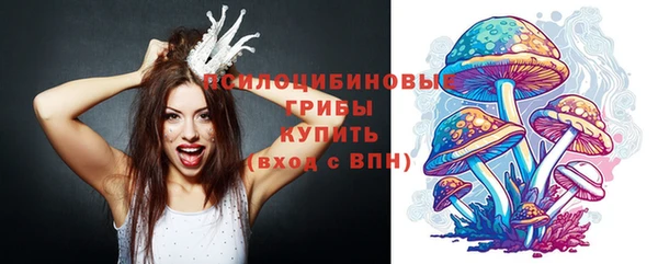 герыч Медвежьегорск